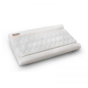 0004227_contiago-scientific-pillow-premium.jpeg